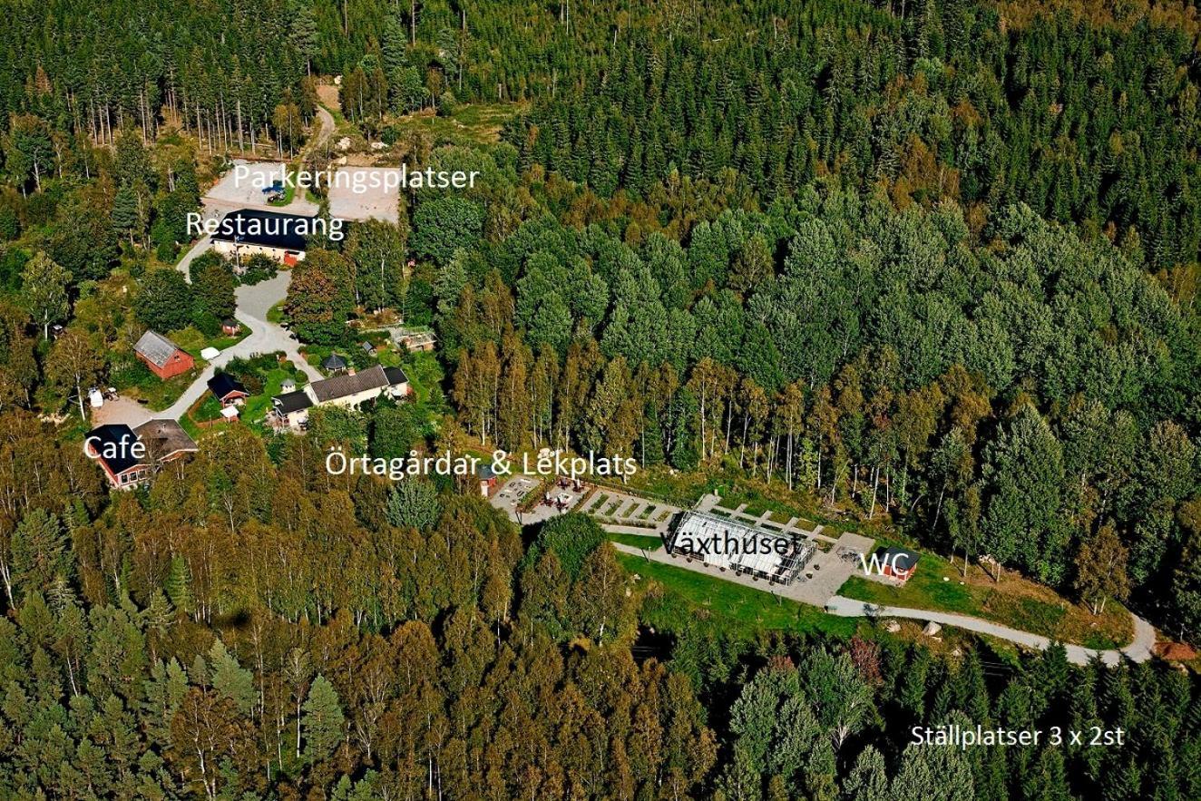 Timjan Forest Resort