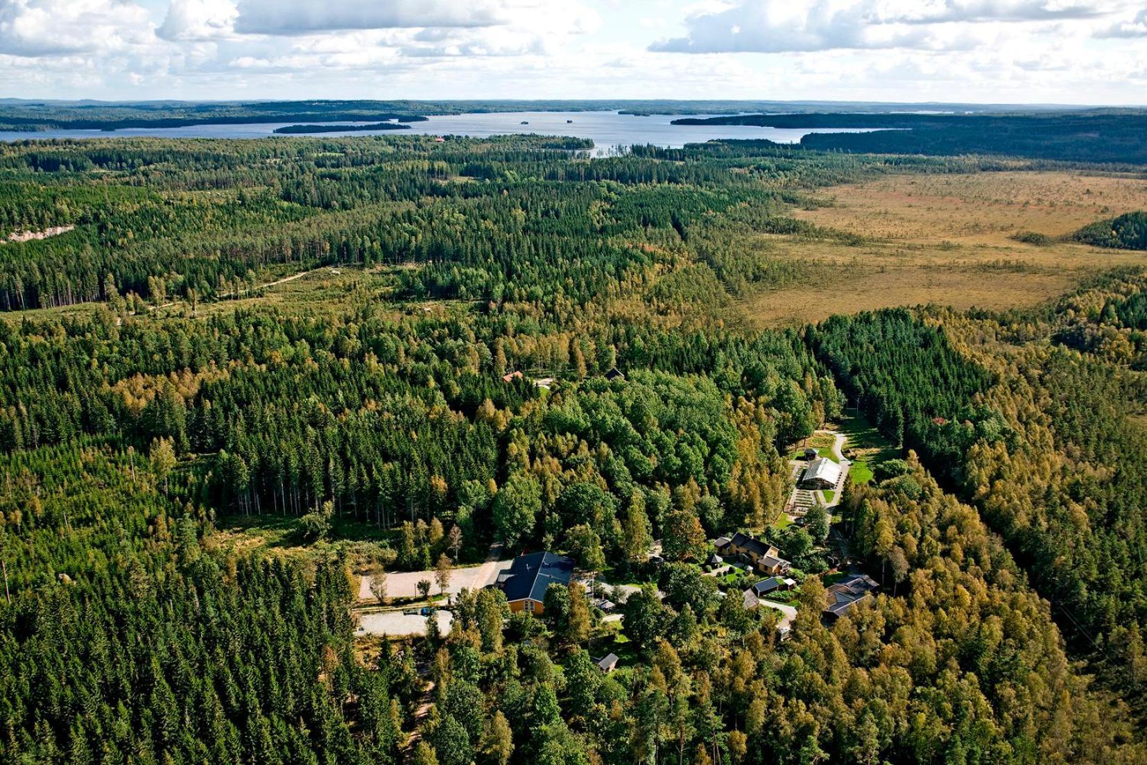 Timjan Forest Hytte Nydala