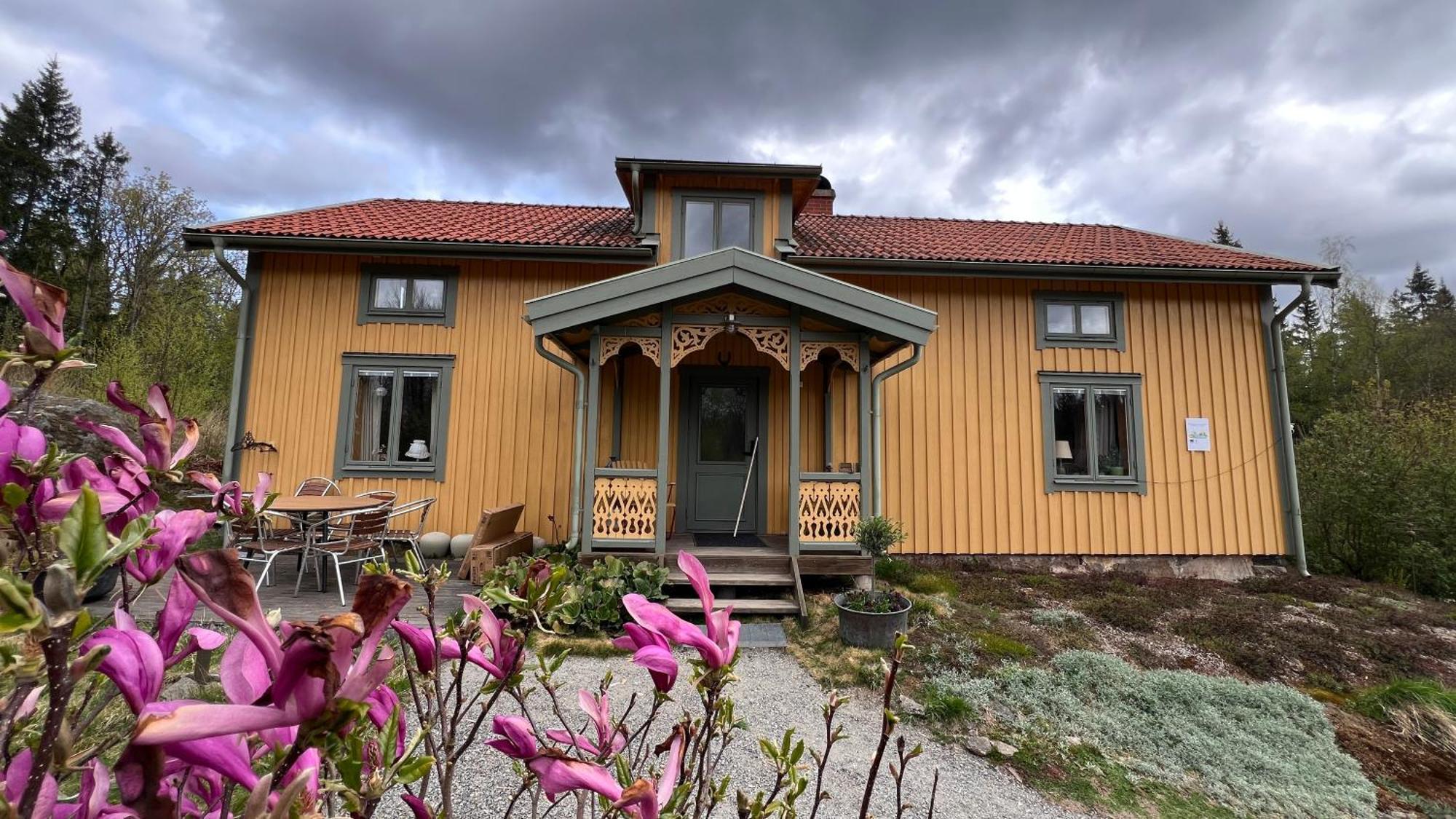Timjan Forest Lodge *