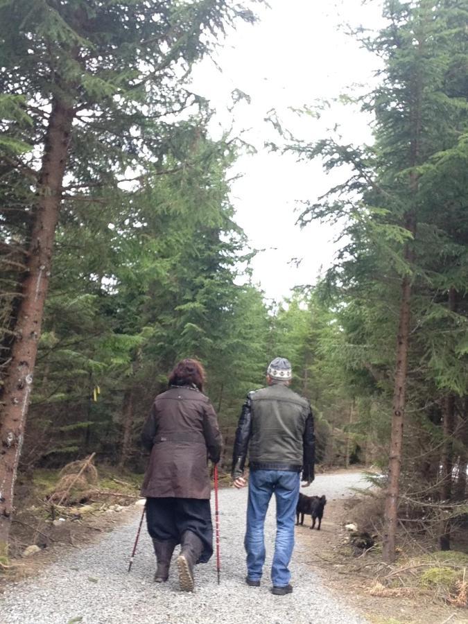 Hytte Timjan Forest *
