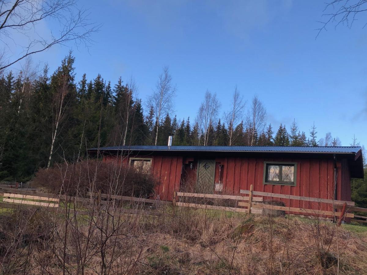 Timjan Forest Hytte